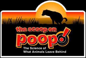 The Scoop On Poop